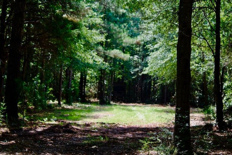 ECE5C022-1F03-401B-BA69-60AC7921B5DA_1_105_c