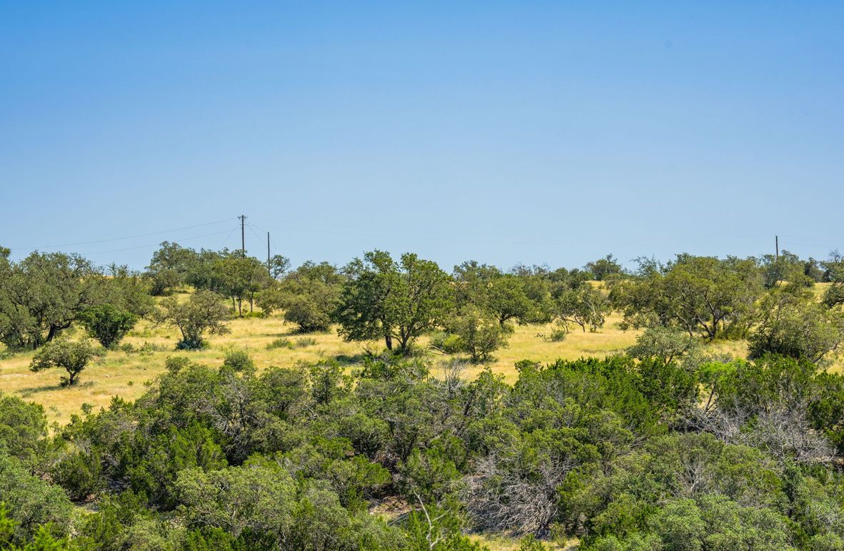 1-web-or-mls-DSC08179