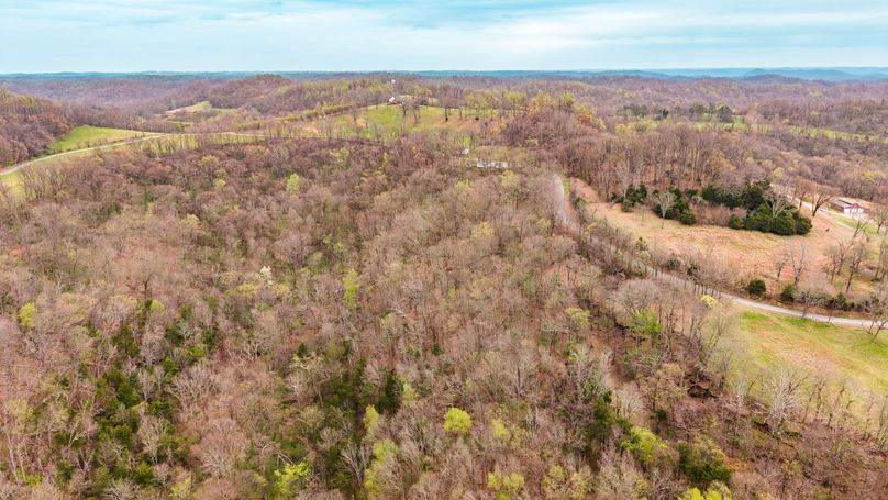 8-web-or-mls-Wolf Hill-28