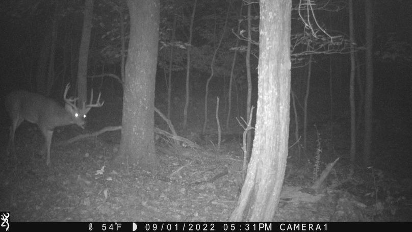 Sauk 174 Trailcam - 41