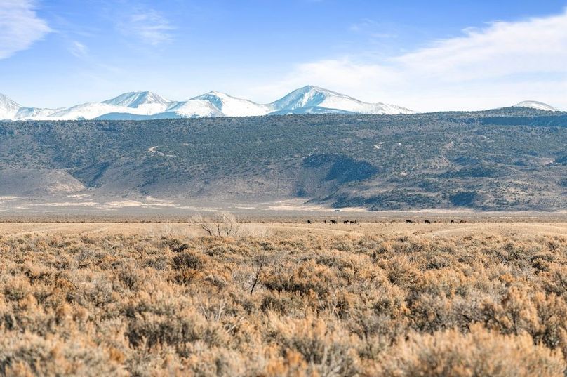 010 - Wild Horse Herd and Mountain Views