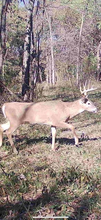 Screenshot 2023-11-10 at 5.48.54 PM Large