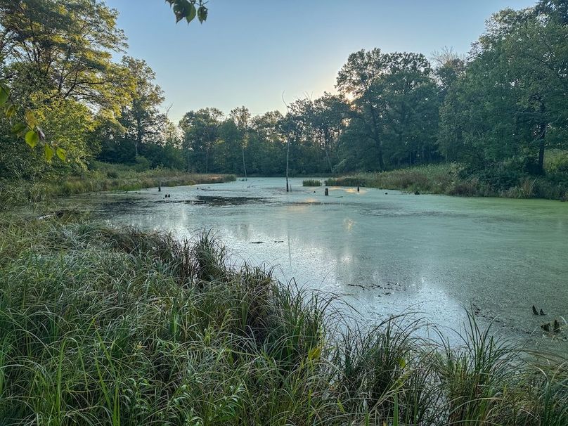 Pantzke Ground Photos-08