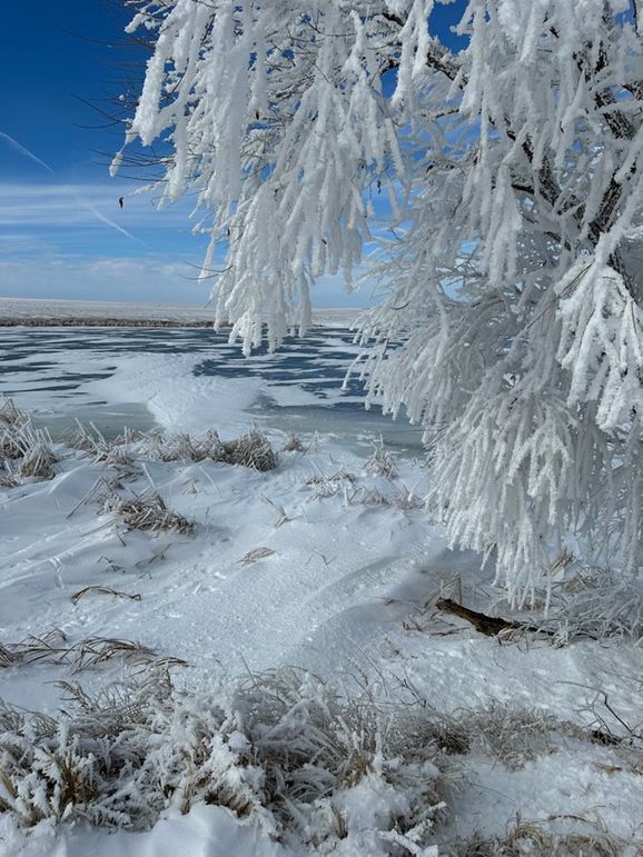 8EAEA858-5241-4BDD-859C-3816C89D3BA9_1_105_c