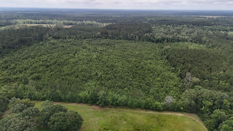 Copy of DJI_20250530005258_0558_D