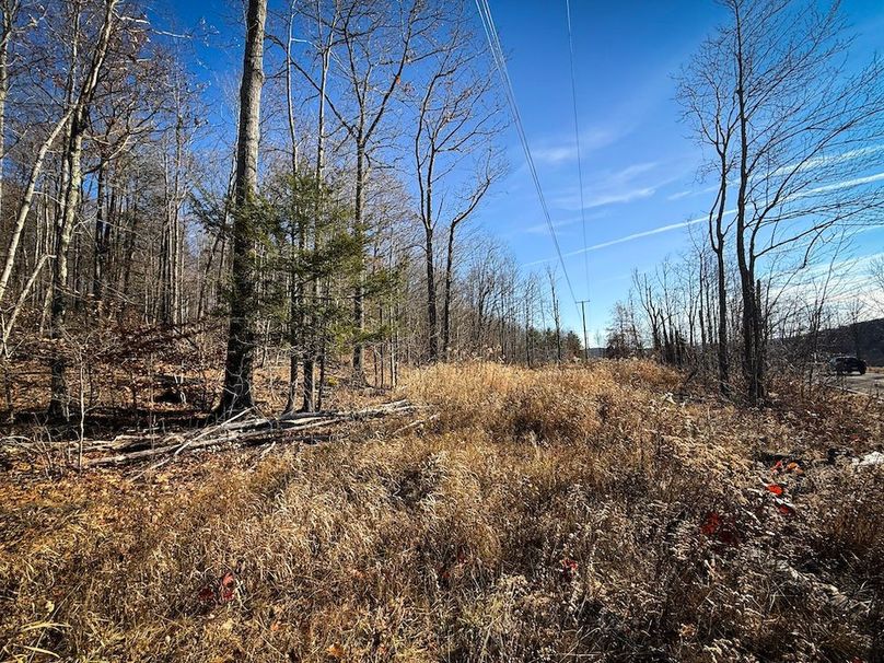 Chemung_31.75_Seymour_North_Photos_7