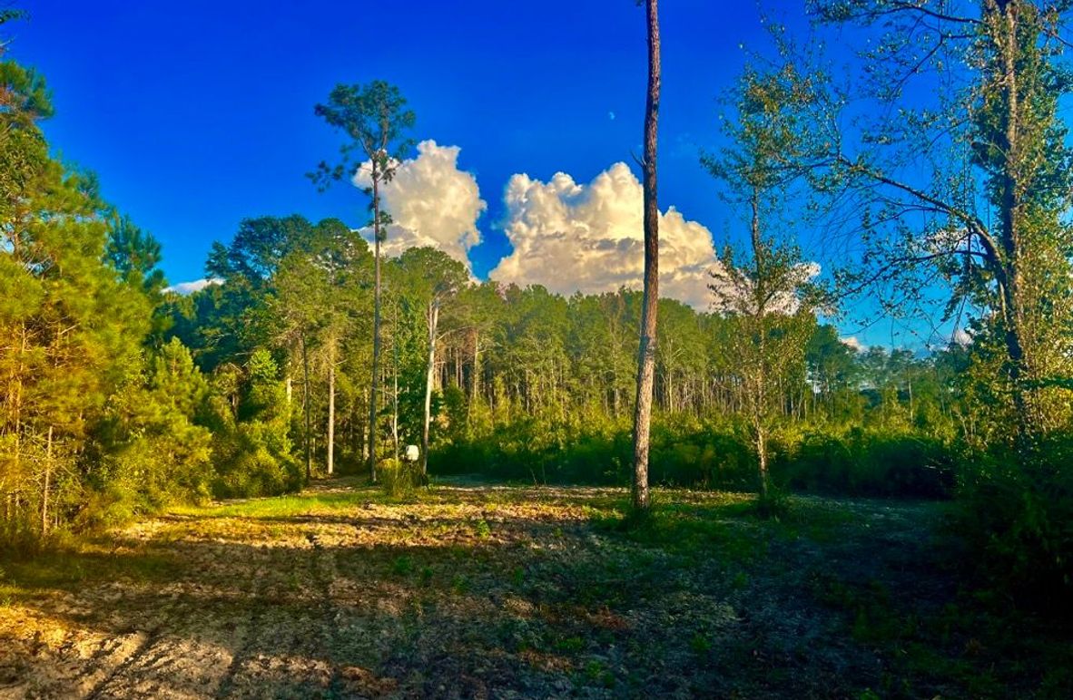 8CEF5C80-8437-47C7-82A2-D57A356321F8_1_201_a