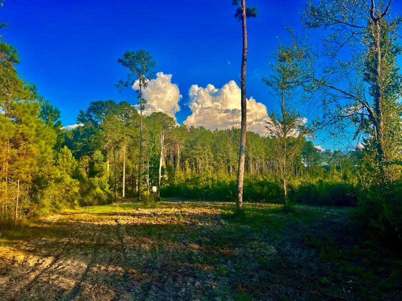 8CEF5C80-8437-47C7-82A2-D57A356321F8_1_201_a