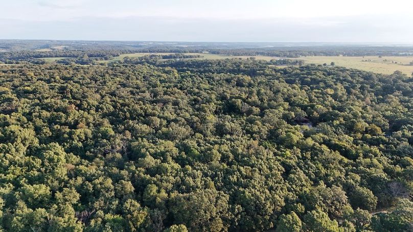 DJI_20250910090446_0021_D