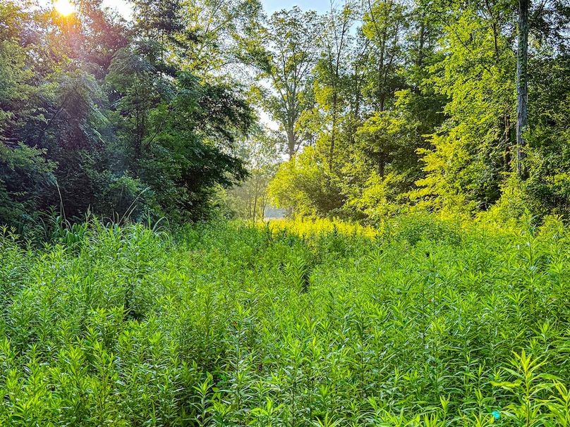 Copy of Noxubee 70 +- Tract 3-26