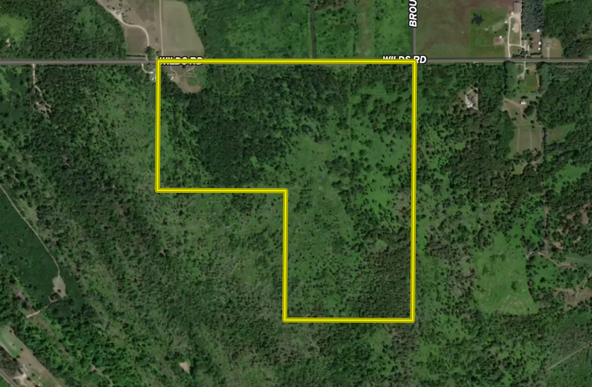 Screenshot 2026-02-26 at 12.09.44 PM