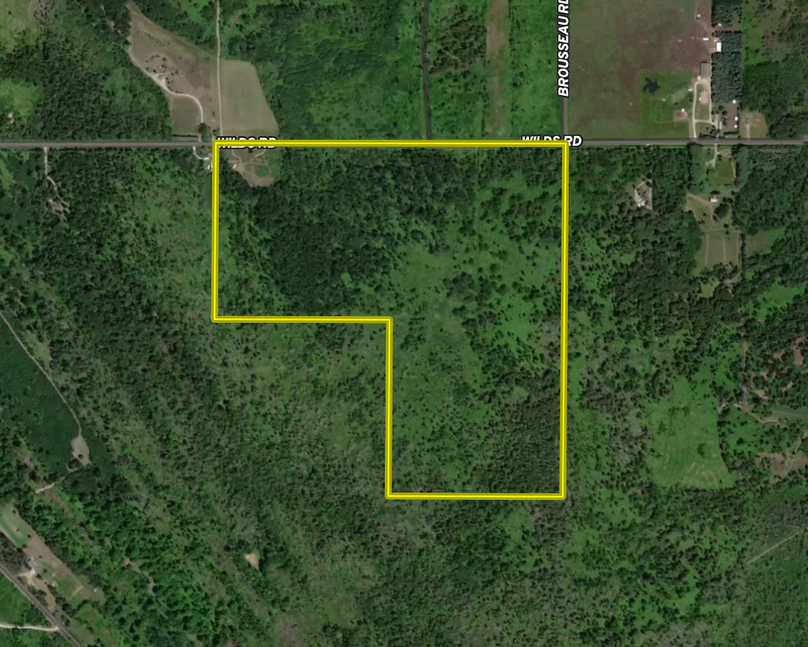 Screenshot 2026-02-26 at 12.09.44 PM