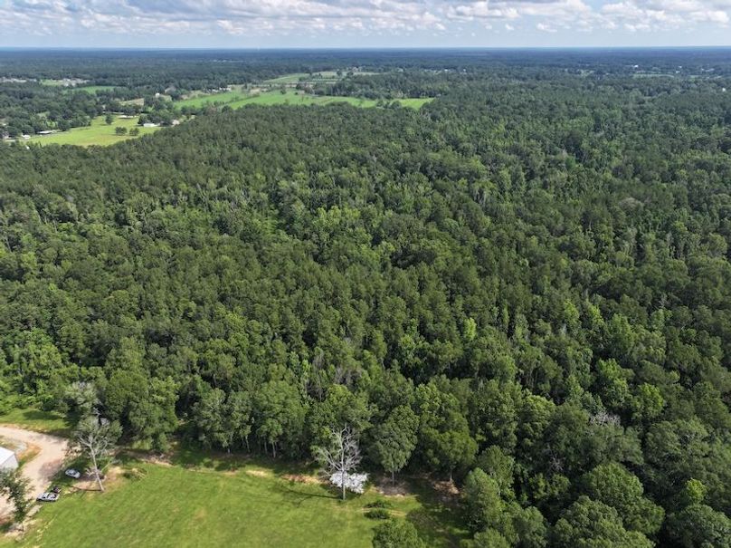 dji_fly_20250624_100830_0140_1750950814539_photo