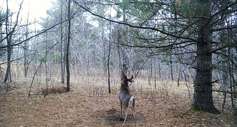 Screen Shot 2026-03-09 at 10.19.16 AM