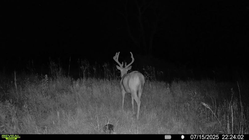 016578001892675-95-2-07152025222402-SYFW01835