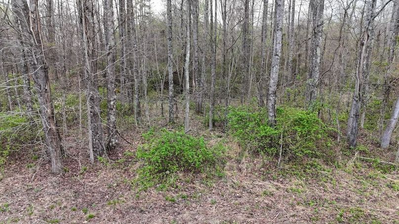 DJI_20260403174151_0221_D