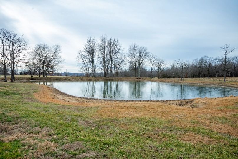 Copy of DSC00735 Large