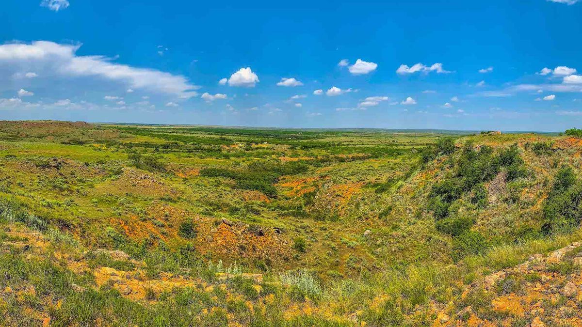 Texas Panhandle Home With Awesome/Varied Hunting Whitetail Properties