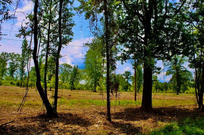 D9D90B58-8DF9-40F9-9255-82953B1206EC_1_105_c