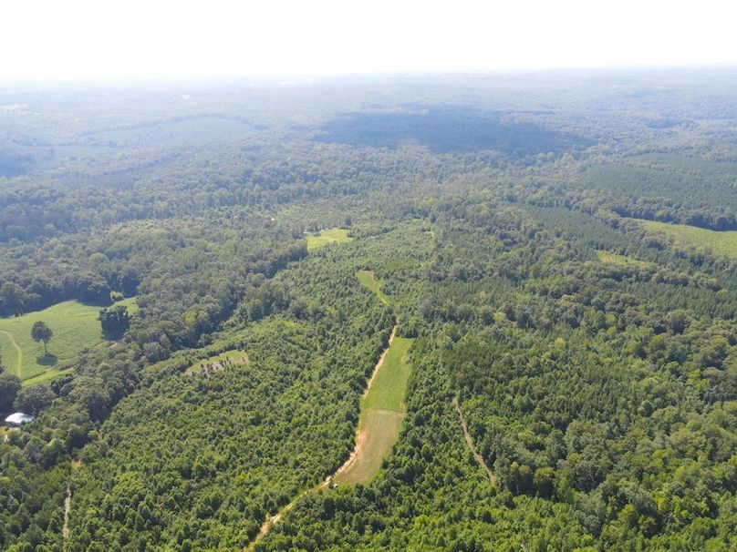 dji_fly_20250729_104858_794_1753800579961_photo