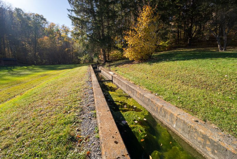 Elk PA 7000 Feature_Pro Photo-129