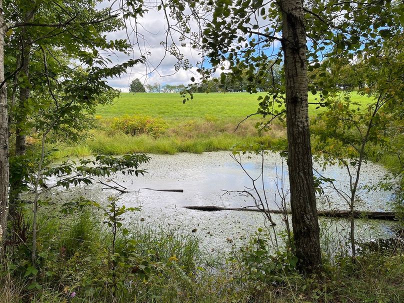 Schuyler_42.08_Austin Photo 3