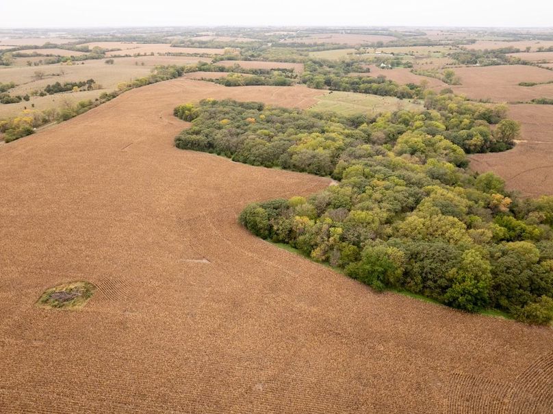 DJI_20251011101503_0122_D