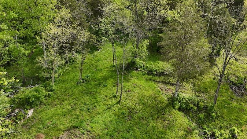 DJI_20250502103540_0464_D