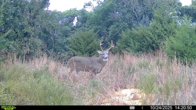 016578004545254-100-4-10242025142050-SYFW11845