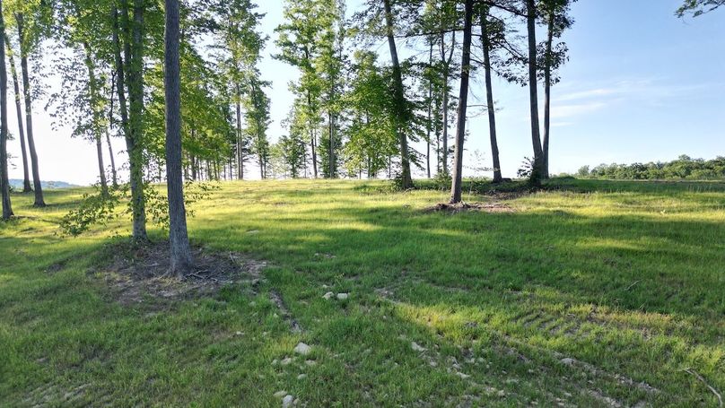 Copy of dji_fly_20240703_134536_522_1719964239096_photo