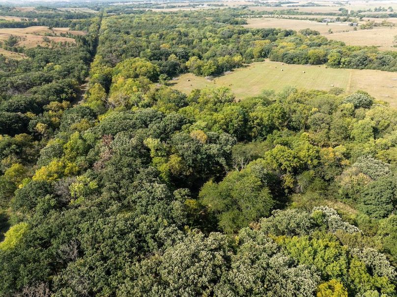 20240913-DJI_20240913110132_0137_D