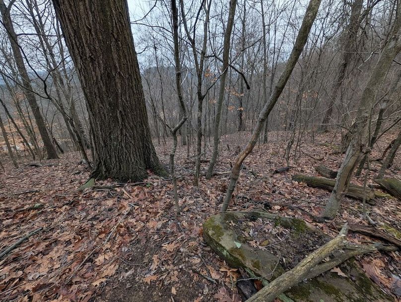 PXL_20260107_164813646