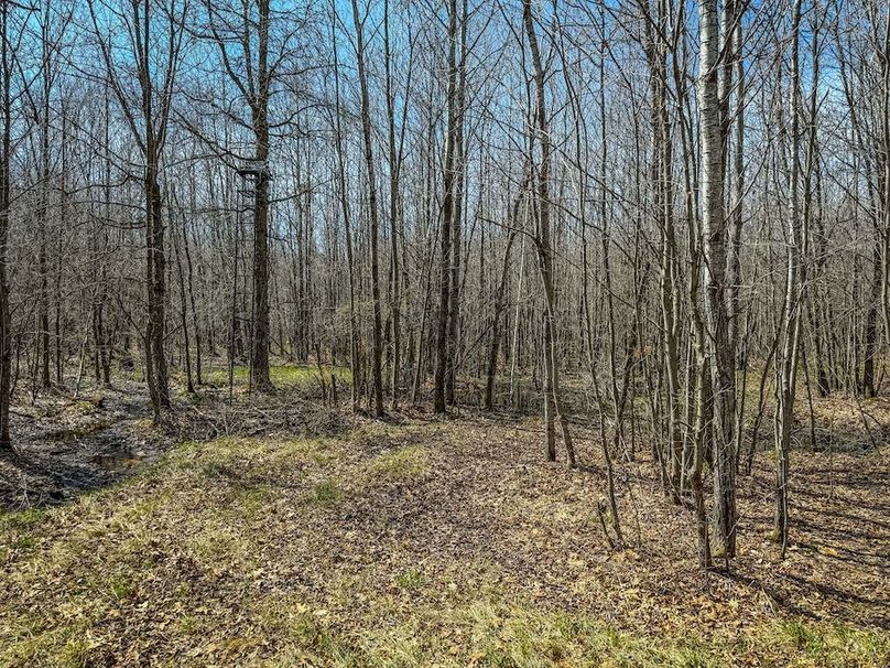 ClarK 160 WILLIAMS -61