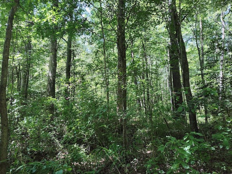 IMG_20250524_123437585