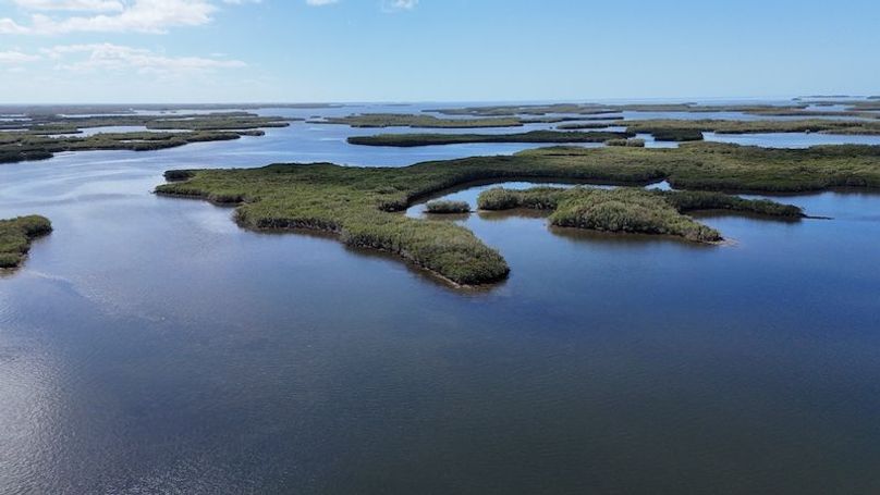 17.17ac, Citrus, Josiah Ronco17