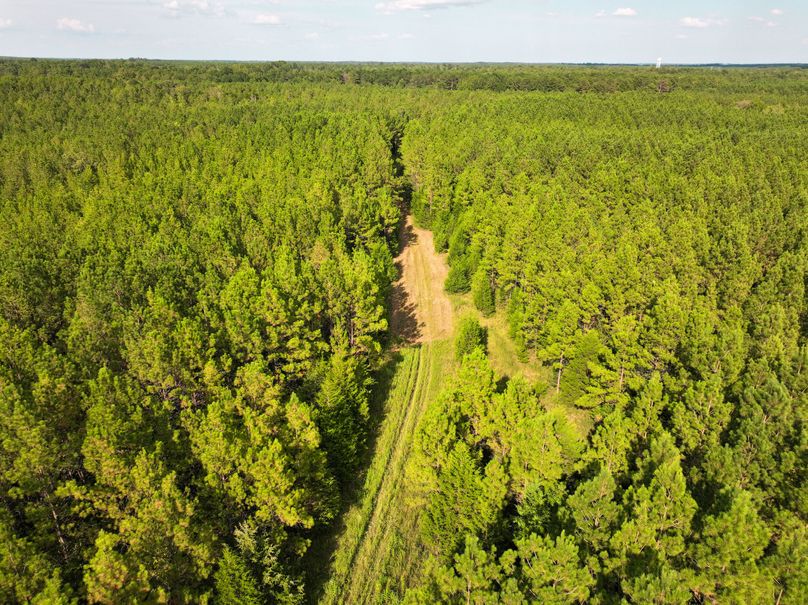 Lee County, MS 92+--22