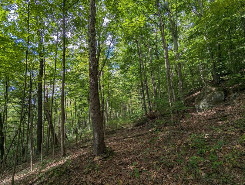 PXL_20230908_181707801