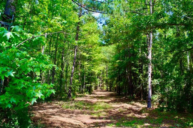 ACE4A642-AF7C-451F-8C77-E449990BFFC7_1_105_c