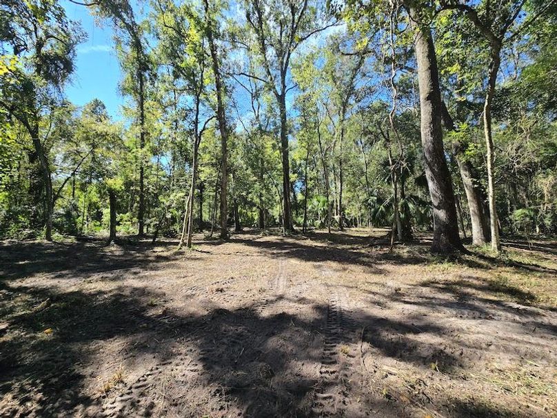 7.8ac, Citrus, Andrew Goering11