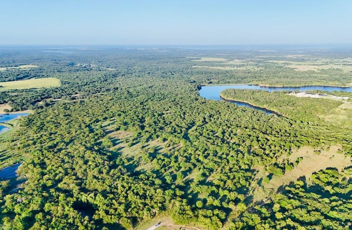 dji_fly_20250728_074348_0028_1753739725711_photo