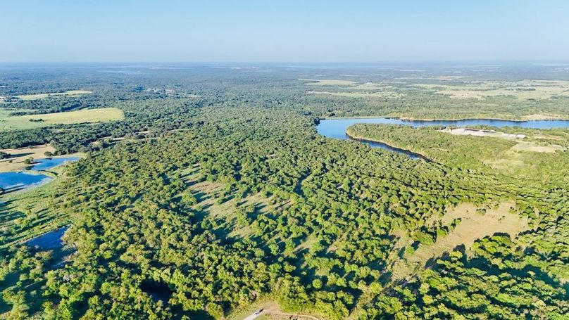 dji_fly_20250728_074348_0028_1753739725711_photo