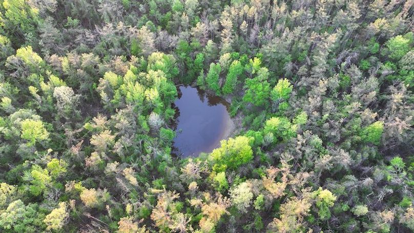 Tallahatchie 44 Newman (Crowden) Wide-8