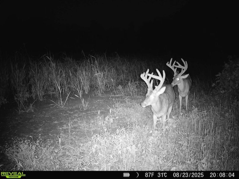 Copy of Copy of Noxubee 222.1 Trail Cam-4