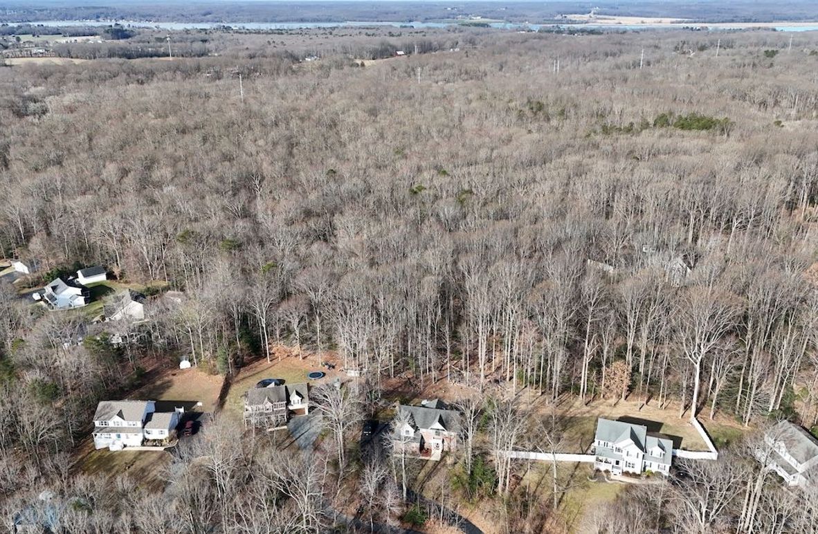 dji_fly_20250310_095612_0004_1741884650175_photo