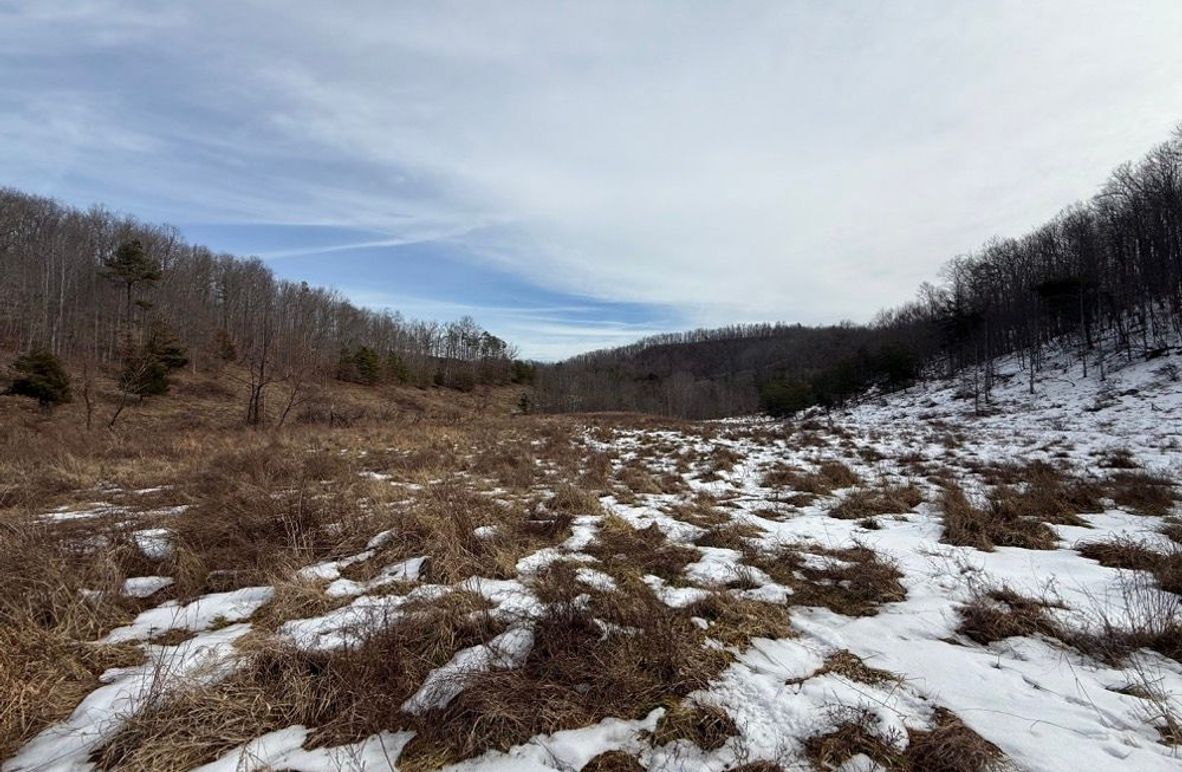 001 the largest of the open field areas in the western part of the property