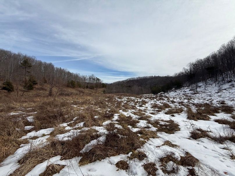 001 the largest of the open field areas in the western part of the property