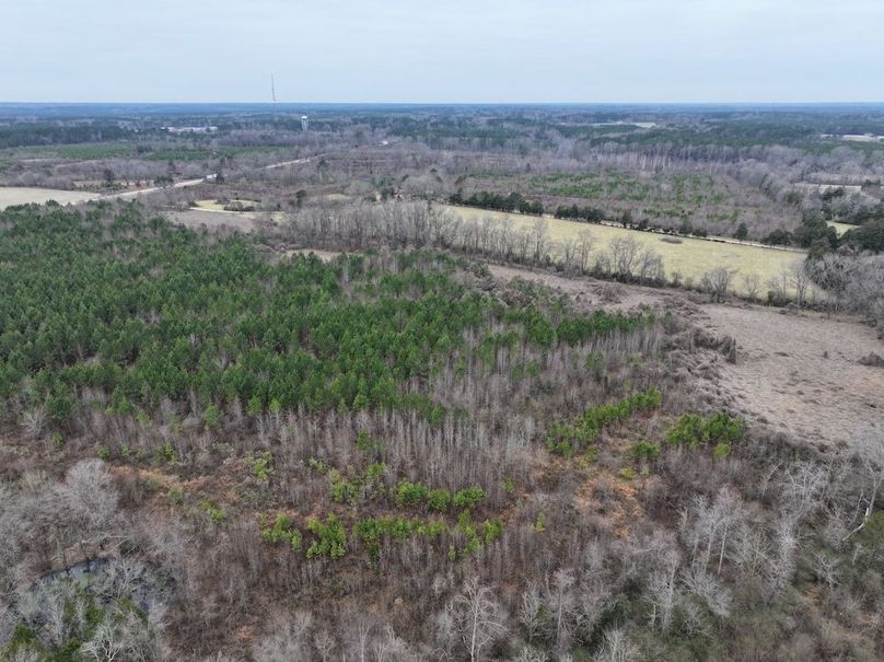 dji_fly_20251224_113552_0214_1767705684490_photo