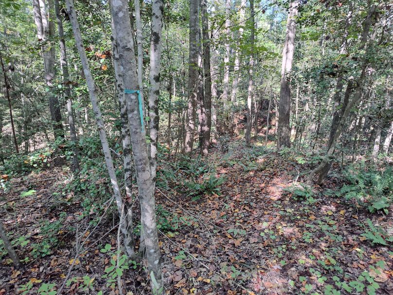 IMG_20231009_151331583_HDR