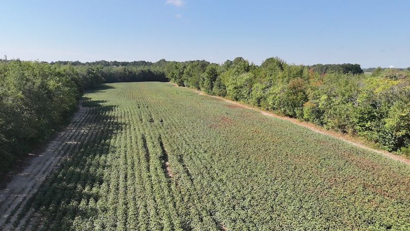 DJI_20250911023911_0315_D