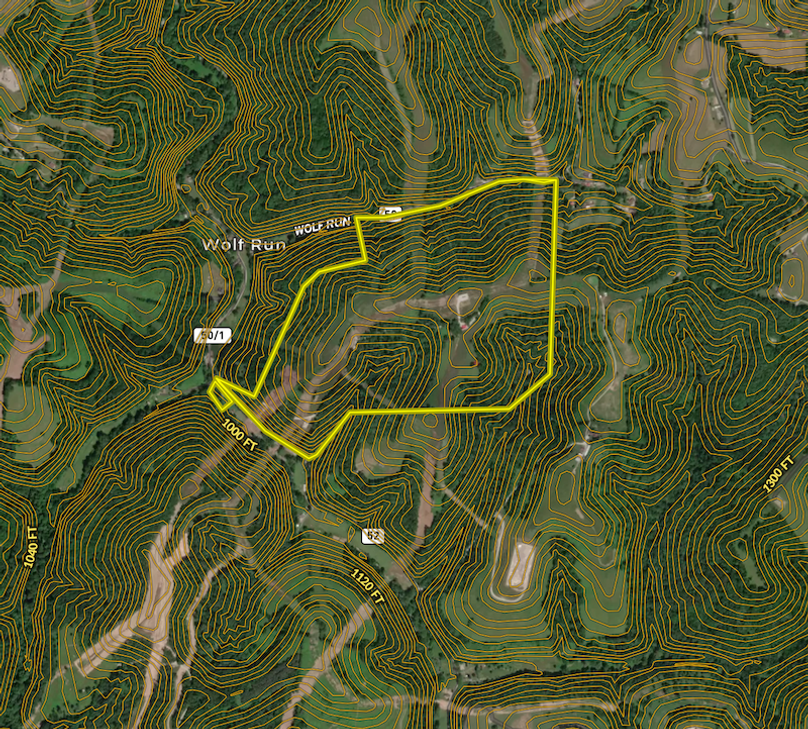 Screen Shot 2024-03-12 at 9.03.09 AM